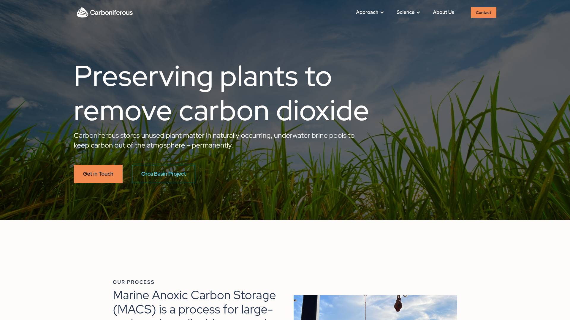Carboniferous website