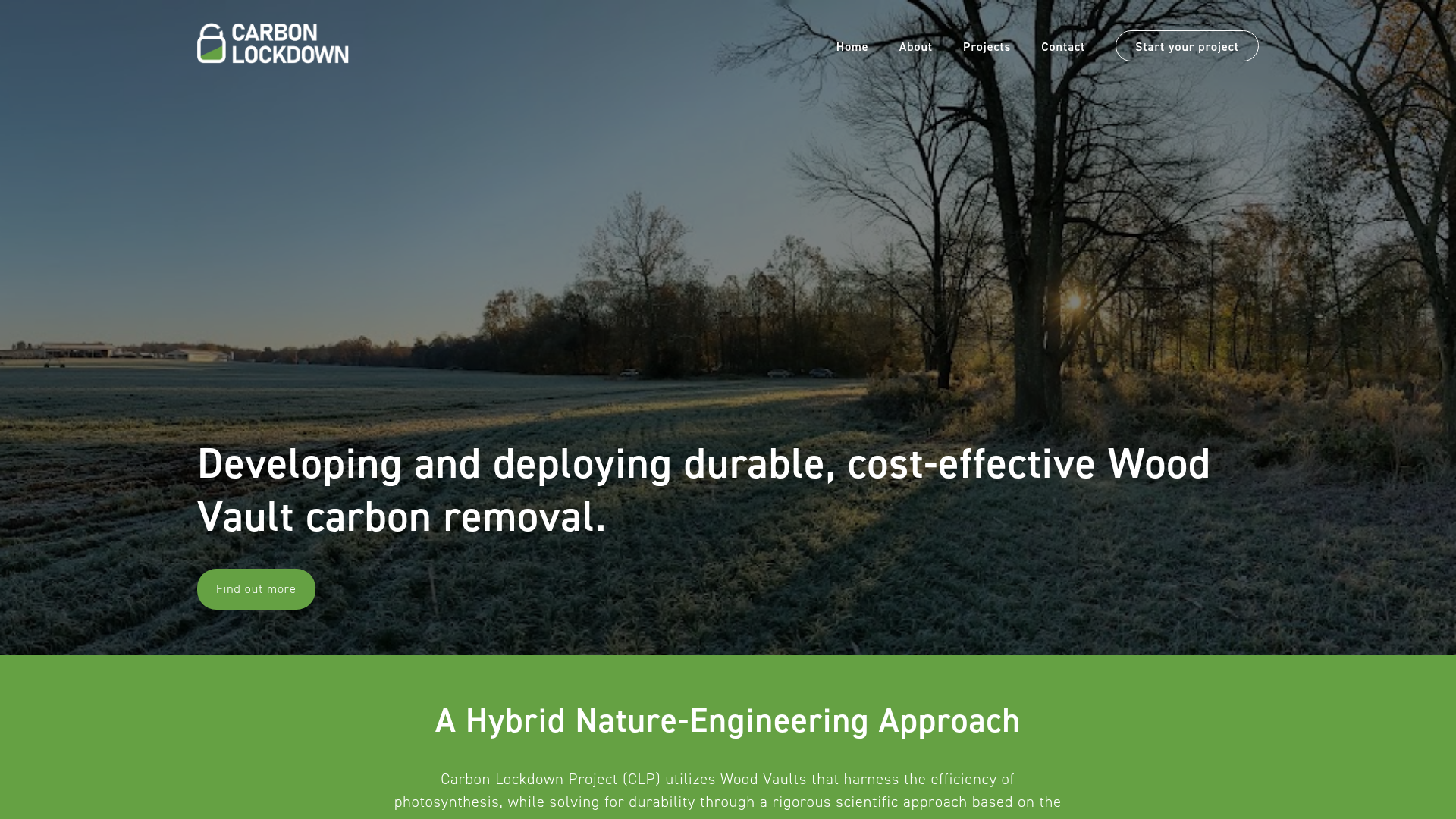 Carbon Lockdown website