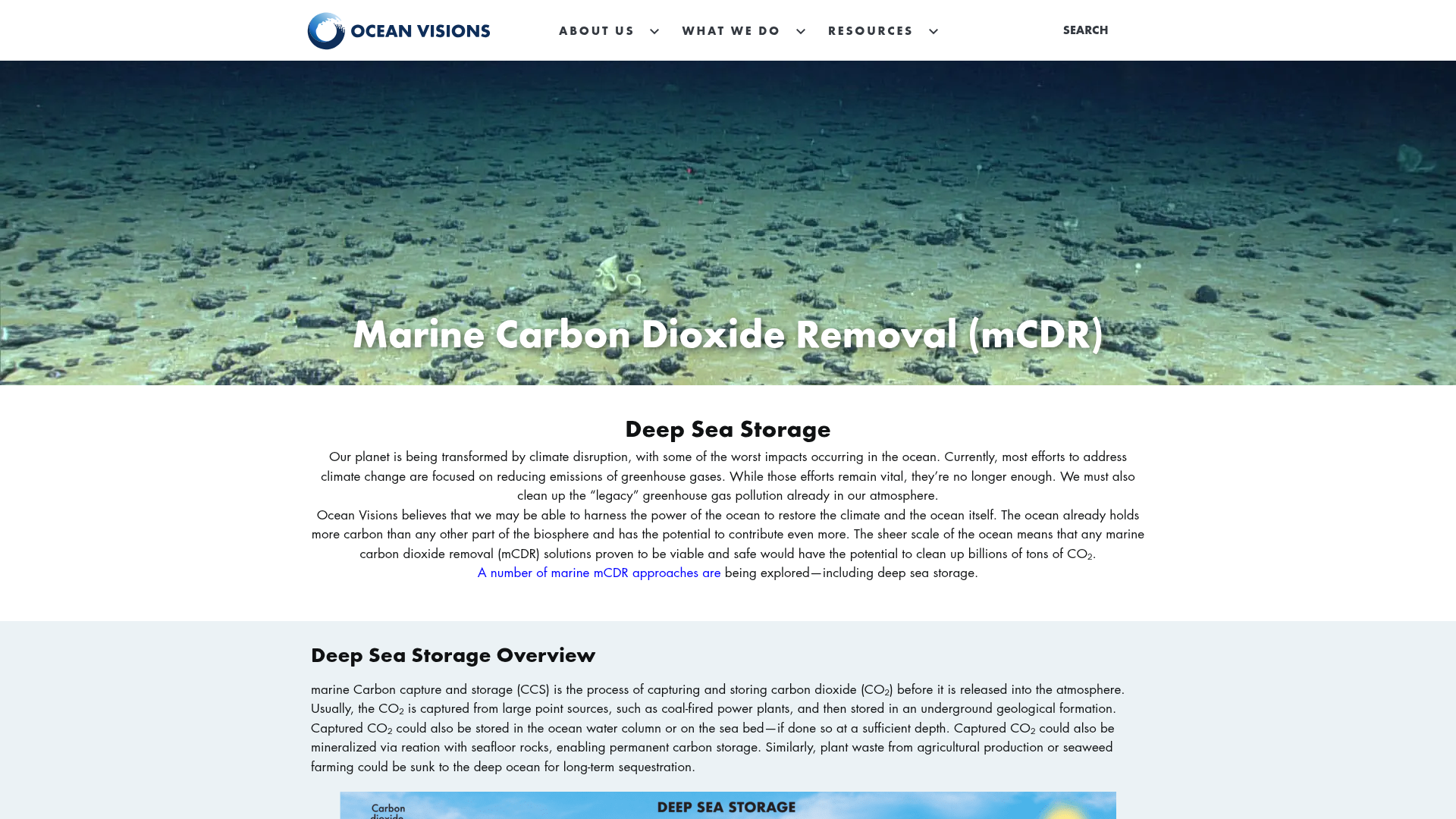 Ocean Visions website